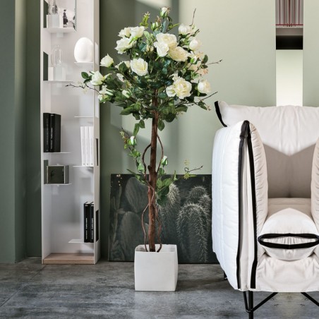 Albero Rose L109