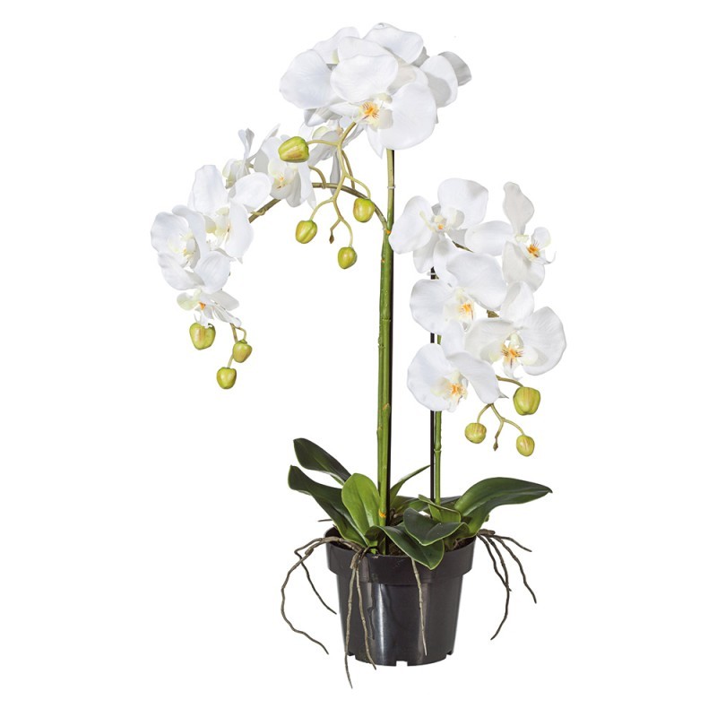 Orchidea L132 Orchidée artificielle Adriani & Rossi
