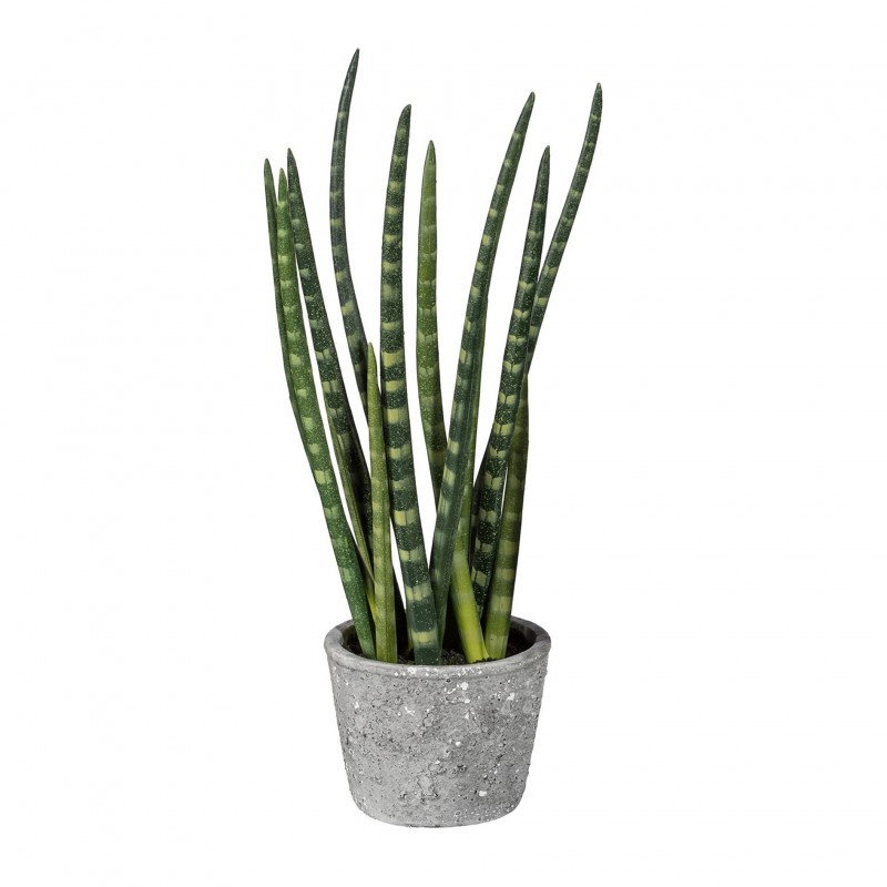 Sanseveria L177 Plante artificielle Adriani & Rossi Sanseveria