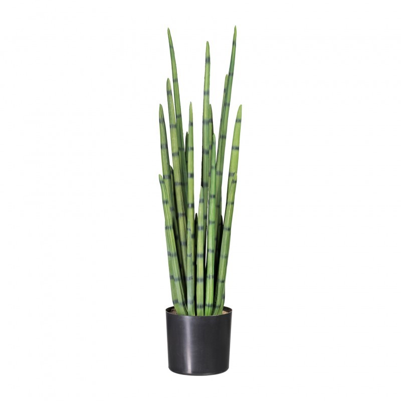 Sanseveria Big L183 Plante artificielle Adriani & Rossi Sanseveria