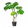 Splitphilodendron Small L184