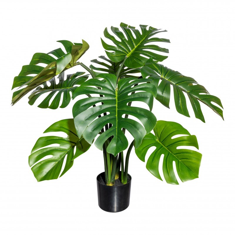 Splitphilodendron Big L185 Adriani & Rossi Plante artificielle Splitphilodendron Big
