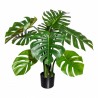 Splitphilodendron Big L185