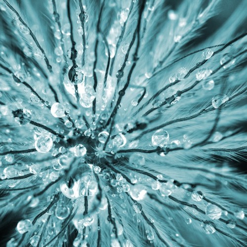Energy 2065