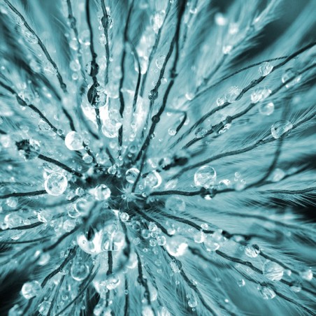 Energy 2065