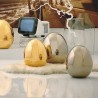 Ovo Small Q123