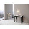 VE300COPXNEVO