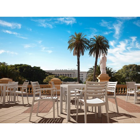 ARTEMIS 011