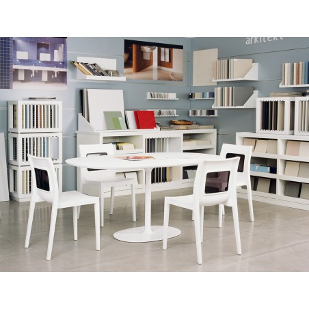 LUCCA-T 029