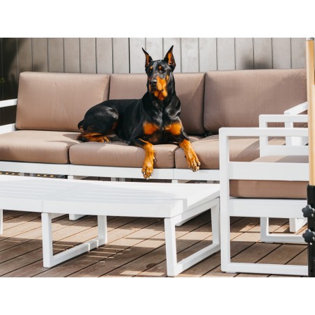 PACIFIC LOUNGE SOFA CHAIR 233