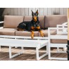 PACIFIC LOUNGE SOFA CHAIR 233