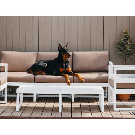 PACIFIC LOUNGE SOFA CHAIR 233