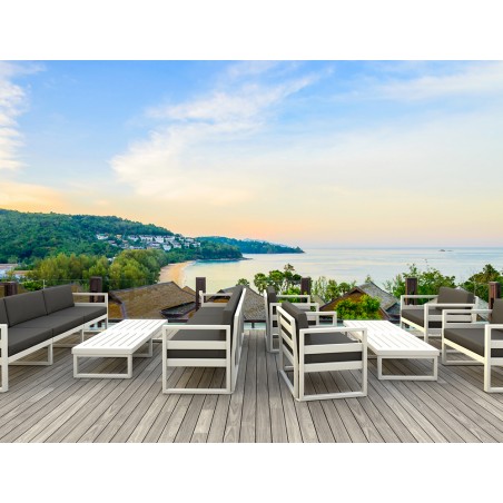 PACIFIC LOUNGE SOFA CHAIR 233