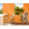 MAYA BAR 75 099