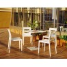 ICE 560