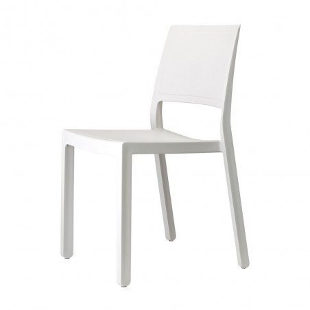 KATE 2341