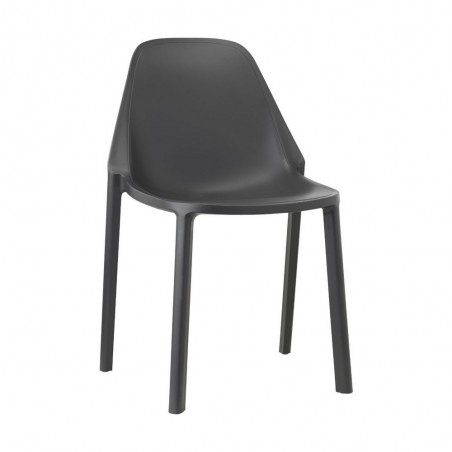 PIÙ 2336