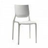SIRIO 2319