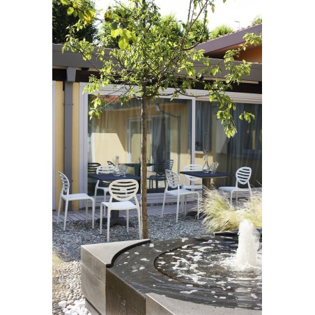 TOP GIO 2317