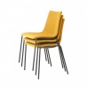 ZEBRA POP 2640