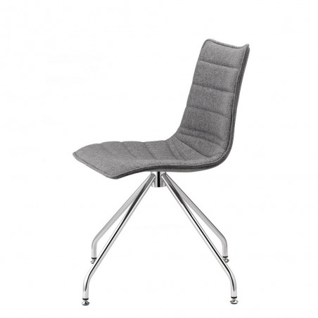 ZEBRA POP 2647