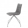 ZEBRA POP 2647