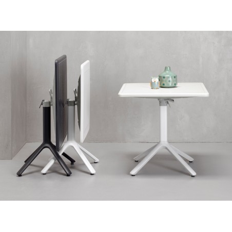 ECO AFFIANCABILE 2460