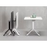 ECO AFFIANCABILE 2461