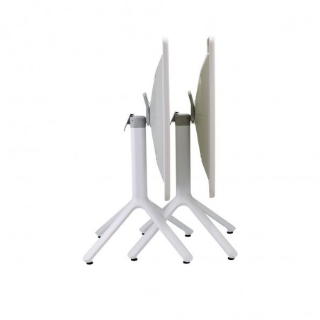 ECO AFFIANCABILE 2462