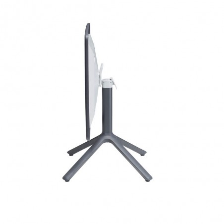 ECO AFFIANCABILE 2462