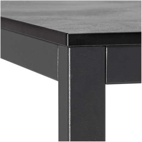 MIRTO 2421